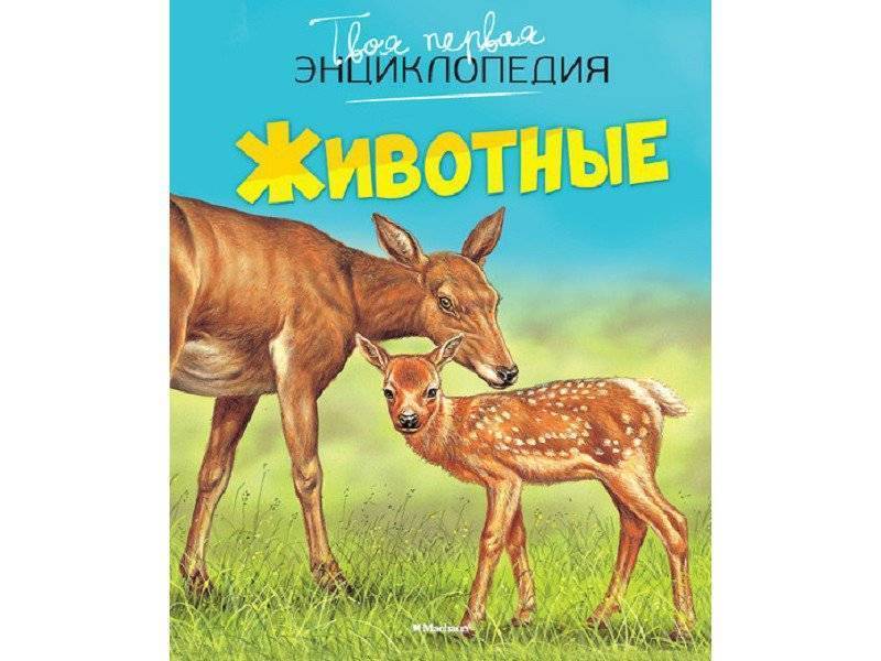 Энциплопедия Животные