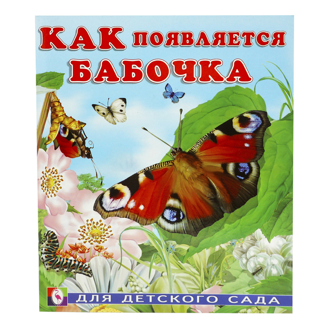 Раннее Развитие Как появляется бабочка