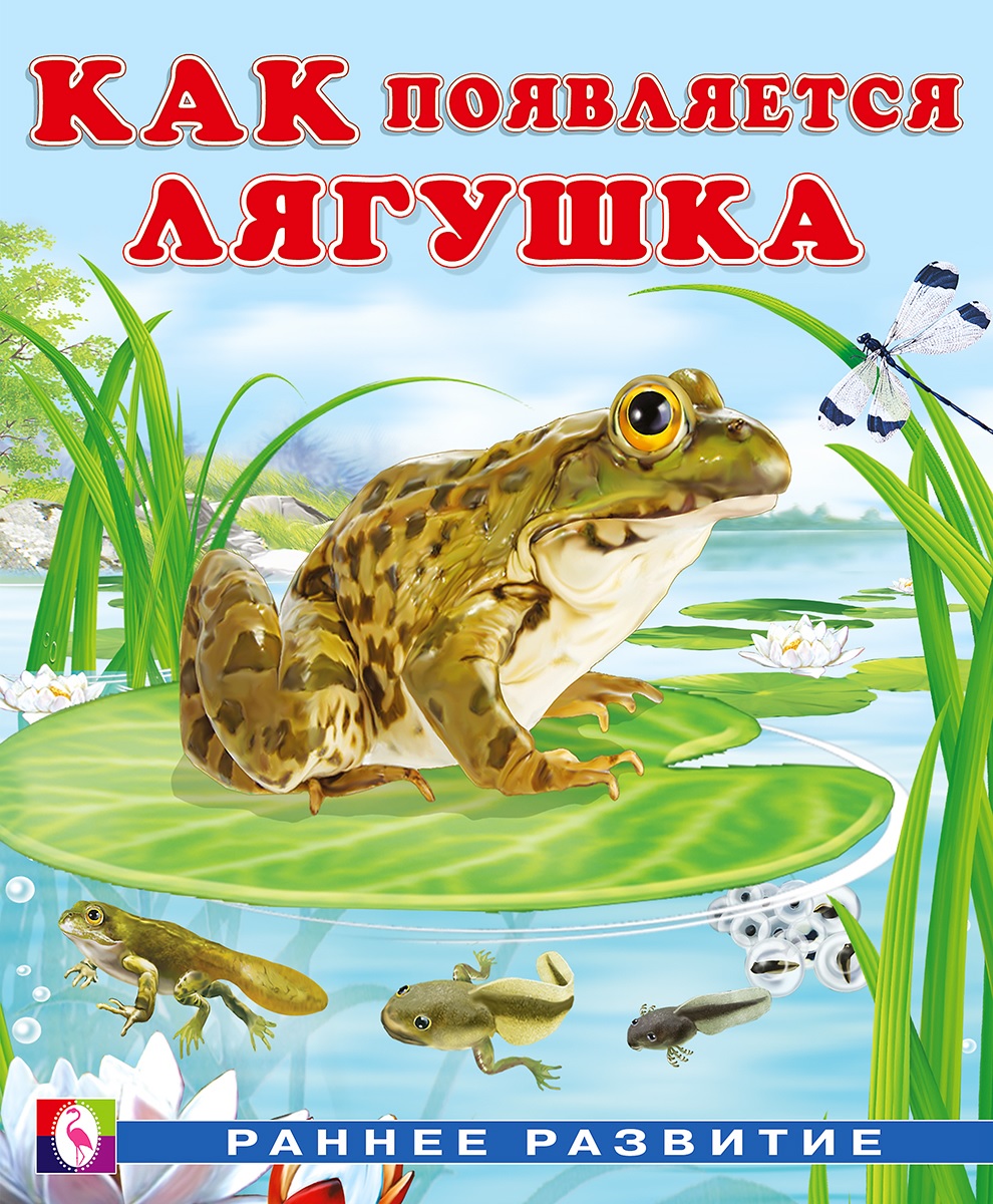Раннее Развитие Как появляется лягушка