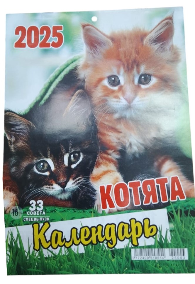 Календарь 2025 настенный на скрепке 33 совета. Спецвыпуск. Котята -50%